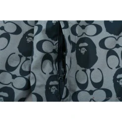 BAPE X COACH Co-Branded Grey-Blue Hoodie -Fusion Wear Shop 4f46f1b4