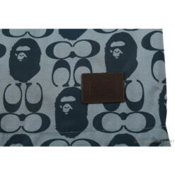 BAPE X COACH Co-Branded Grey-Blue Hoodie -Fusion Wear Shop 8cac892f