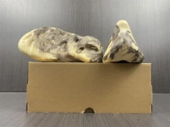 Adidas Yeezy Foam RNNR MX 'Cream Clay' -Fusion Wear Shop HYB223 78024aea 0690 419f aee2 2832ce2dd583